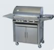 Gas Barbecue Grill